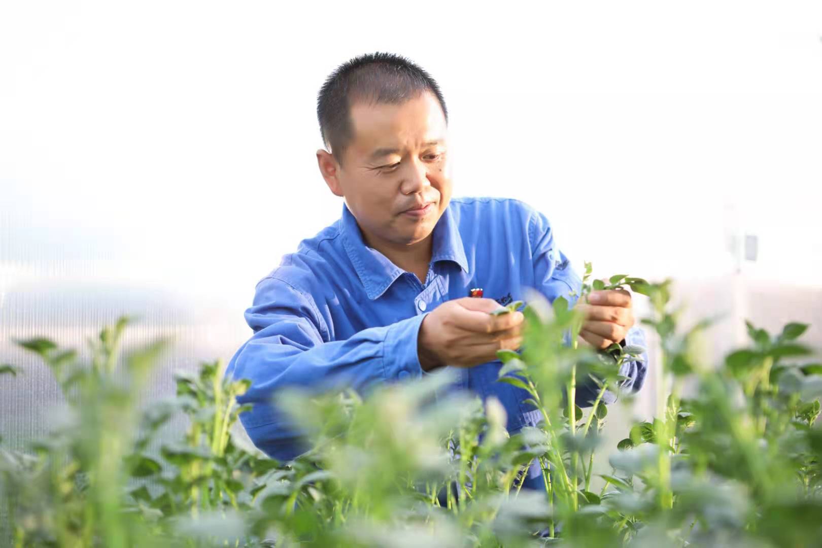 尊时凯龙·(中国区)人生就是搏!